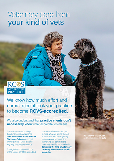 Image of information sheet from the 'Your kind of vets' campaign