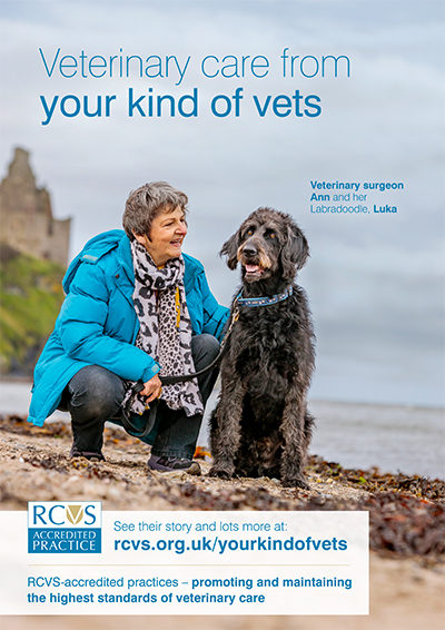 Poster featuring veterinary surgeon Ann & her dog Luka
