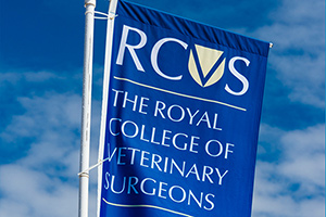 RCVS flag