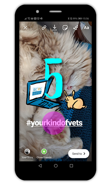 Mobile screen showing Instagram app open, showing #YourKindofVets hashtag & GIFs over photo