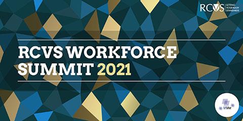 November 2021 Workforce Summit logo 