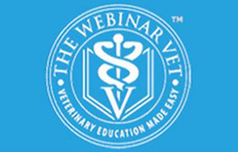 The Webinar Vet 