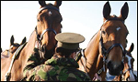 Army vet with horses