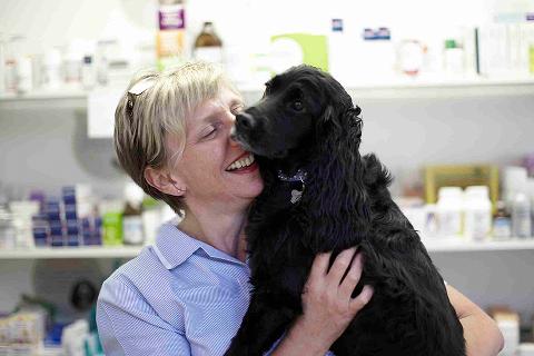 Picture of vet with dog 