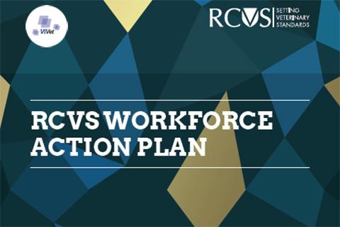 RCVS Workforce Action Plan front cover
