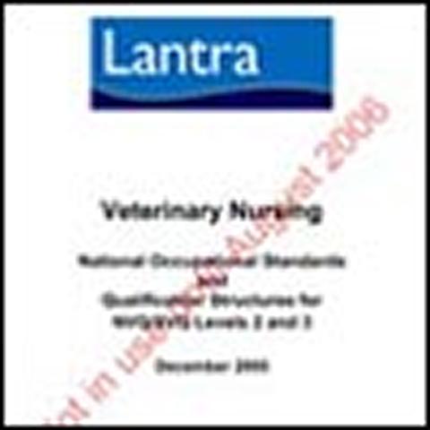 VN Occupational Standards 2006 available to view