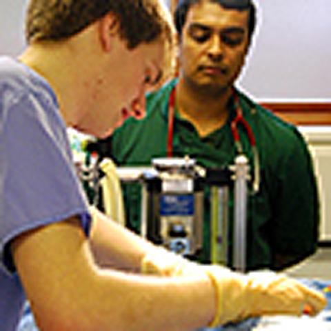 New EMS prep tool for veterinary undergraduates