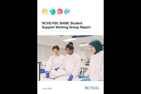 RCVS/VSC BAME Student Support Working Group Report 