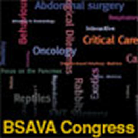 RCVS Question Time at BSAVA 2005