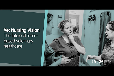 VN Futures Vet Nurse Visions logo 