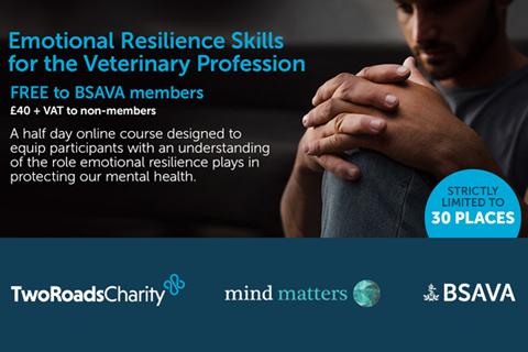 Emotional Resilience Skills for the Veterinary Profession