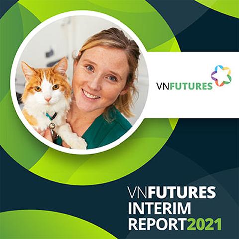 VN Future Interim report 